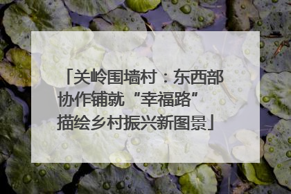 关岭围墙村：东西部协作铺就“幸福路” 描绘乡村振兴新图景