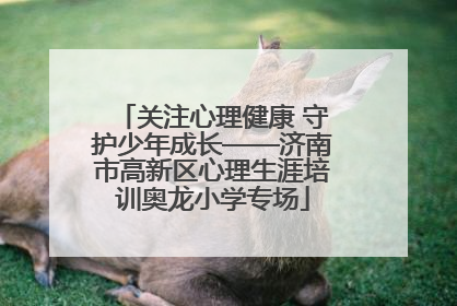 关注心理健康 守护少年成长——济南市高新区心理生涯培训奥龙小学专场