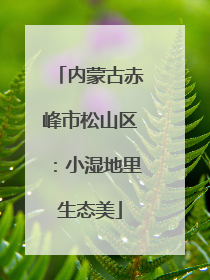 内蒙古赤峰市松山区：小湿地里生态美