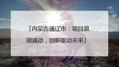 内蒙古通辽市：项目浪潮涌动，创新驱动未来