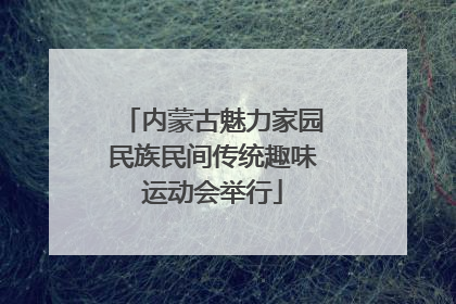 内蒙古魅力家园民族民间传统趣味运动会举行