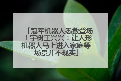 冠军机器人悉数登场！宇树王兴兴：让人形机器人马上进入家庭等场景并不现实