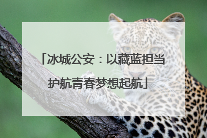 冰城公安：以藏蓝担当 护航青春梦想起航