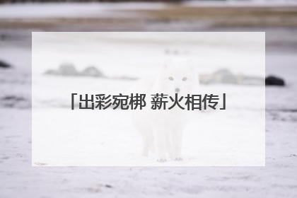 出彩宛梆 薪火相传