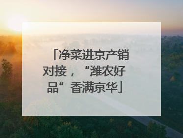 净菜进京产销对接，“潍农好品”香满京华