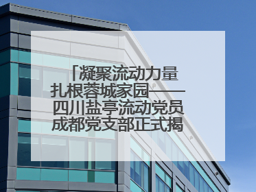 凝聚流动力量 扎根蓉城家园——四川盐亭流动党员成都党支部正式揭牌成立