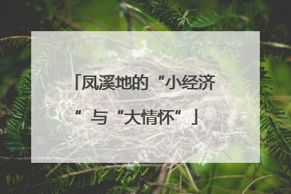 凤溪地的“小经济”与“大情怀”