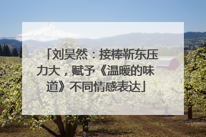 刘昊然：接棒靳东压力大，赋予《温暖的味道》不同情感表达