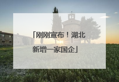 刚刚宣布！湖北新增一家国企
