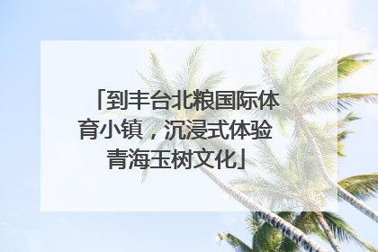 到丰台北粮国际体育小镇，沉浸式体验青海玉树文化