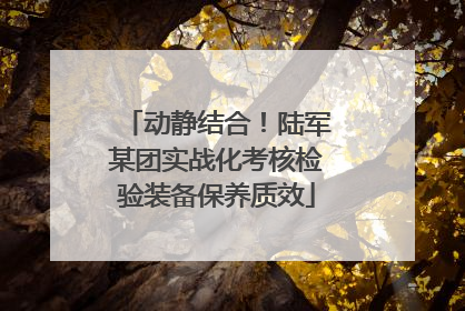 动静结合！陆军某团实战化考核检验装备保养质效