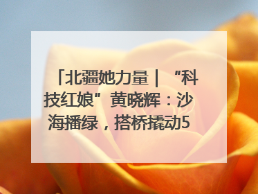 北疆她力量｜“科技红娘”黄晓辉：沙海播绿，搭桥撬动5.3亿研发