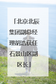 北京北辰集团副总经理胡浩获任石景山区副区长