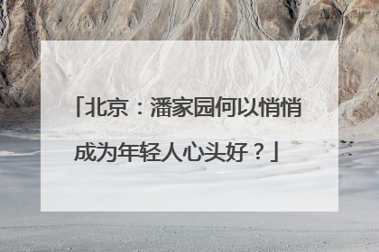 北京：潘家园何以悄悄成为年轻人心头好？