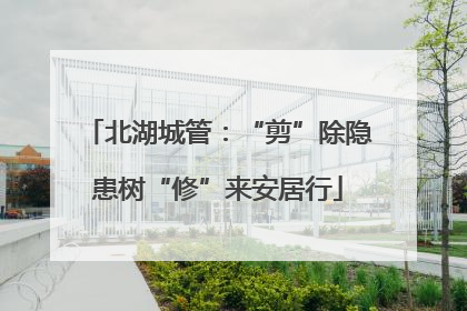 北湖城管：“剪”除隐患树“修”来安居行