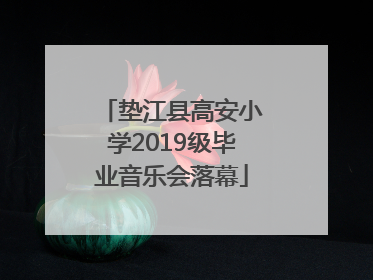 垫江县高安小学2019级毕业音乐会落幕