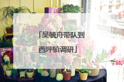 吴毓舟带队到西坪镇调研