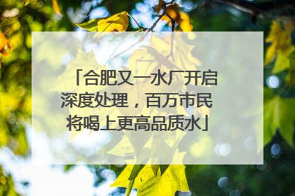 合肥又一水厂开启深度处理，百万市民将喝上更高品质水