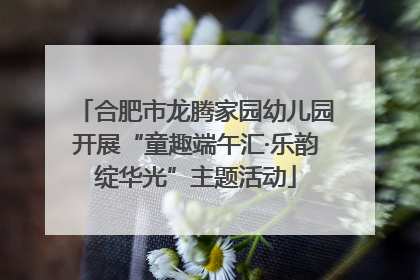 合肥市龙腾家园幼儿园开展“童趣端午汇·乐韵绽华光”主题活动