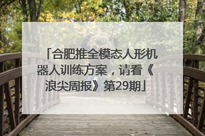 合肥推全模态人形机器人训练方案，请看《浪尖周报》第29期