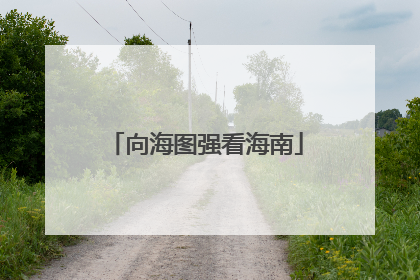 向海图强看海南