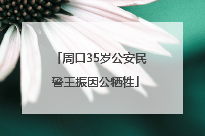 周口35岁公安民警王振因公牺牲