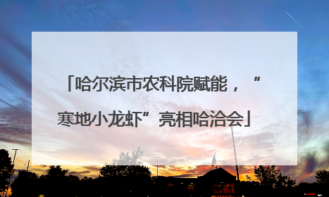 哈尔滨市农科院赋能，“寒地小龙虾”亮相哈洽会