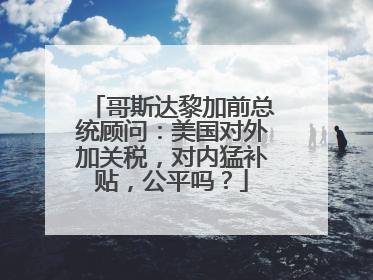 哥斯达黎加前总统顾问：美国对外加关税，对内猛补贴，公平吗？