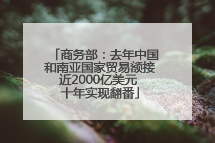 商务部：去年中国和南亚国家贸易额接近2000亿美元 十年实现翻番
