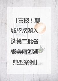 喜报！聊城望岳湖入选第二批省级美丽河湖典型案例
