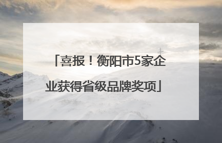 喜报！衡阳市5家企业获得省级品牌奖项