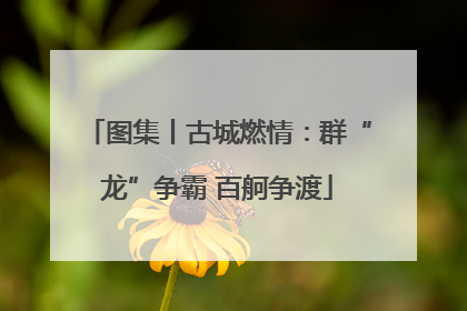 图集丨古城燃情：群“龙”争霸 百舸争渡