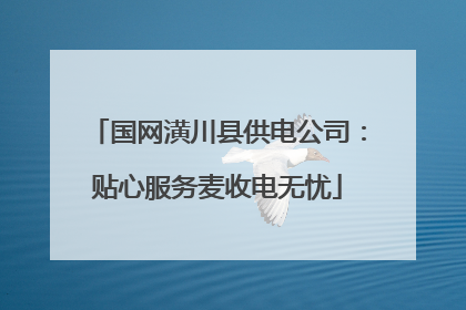 国网潢川县供电公司：贴心服务麦收电无忧