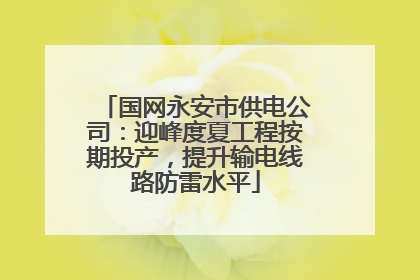 国网永安市供电公司：迎峰度夏工程按期投产，提升输电线路防雷水平