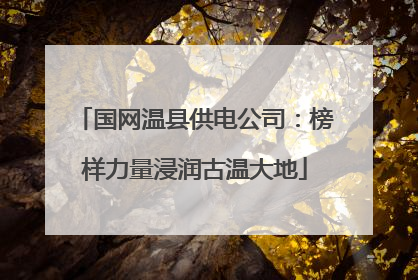 国网温县供电公司：榜样力量浸润古温大地
