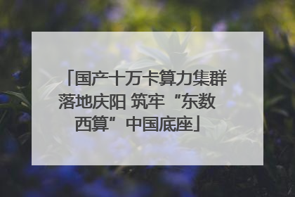 国产十万卡算力集群落地庆阳 筑牢“东数西算”中国底座