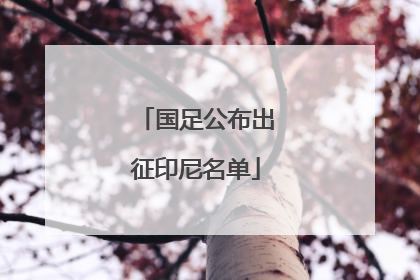 国足公布出征印尼名单