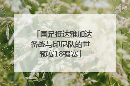 国足抵达雅加达备战与印尼队的世预赛18强赛