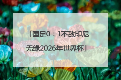 国足0：1不敌印尼 无缘2026年世界杯