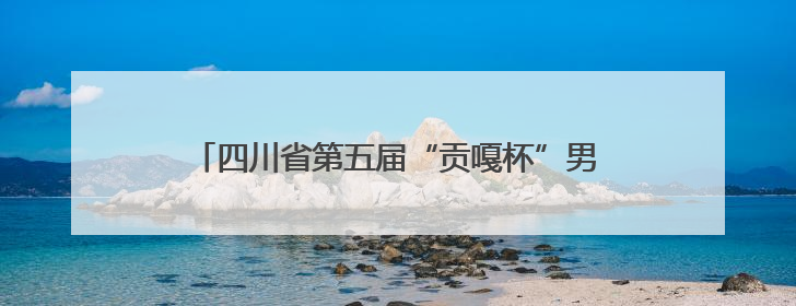 四川省第五届“贡嘎杯”男子排球（初中组）总决赛开赛 自贡这支队伍打进半决赛