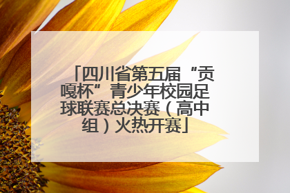 四川省第五届“贡嘎杯”青少年校园足球联赛总决赛（高中组）火热开赛