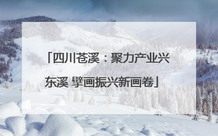 四川苍溪：聚力产业兴东溪 擘画振兴新画卷