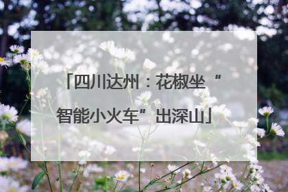 四川达州：花椒坐“智能小火车”出深山