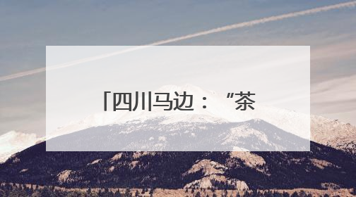 四川马边：“茶旅融合”共绘民族团结新画卷