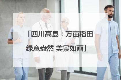 四川高县：万亩稻田绿意盎然 美景如画