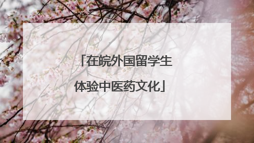 在皖外国留学生体验中医药文化