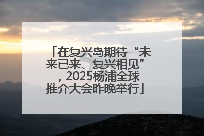 在复兴岛期待“未来已来、复兴相见”，2025杨浦全球推介大会昨晚举行