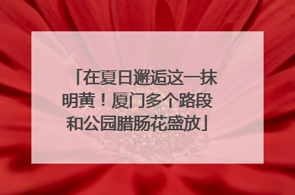 在夏日邂逅这一抹明黄！厦门多个路段和公园腊肠花盛放