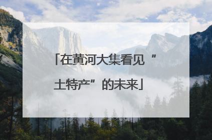 在黄河大集看见“土特产”的未来
