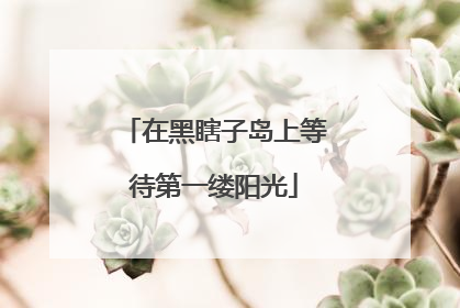 在黑瞎子岛上等待第一缕阳光